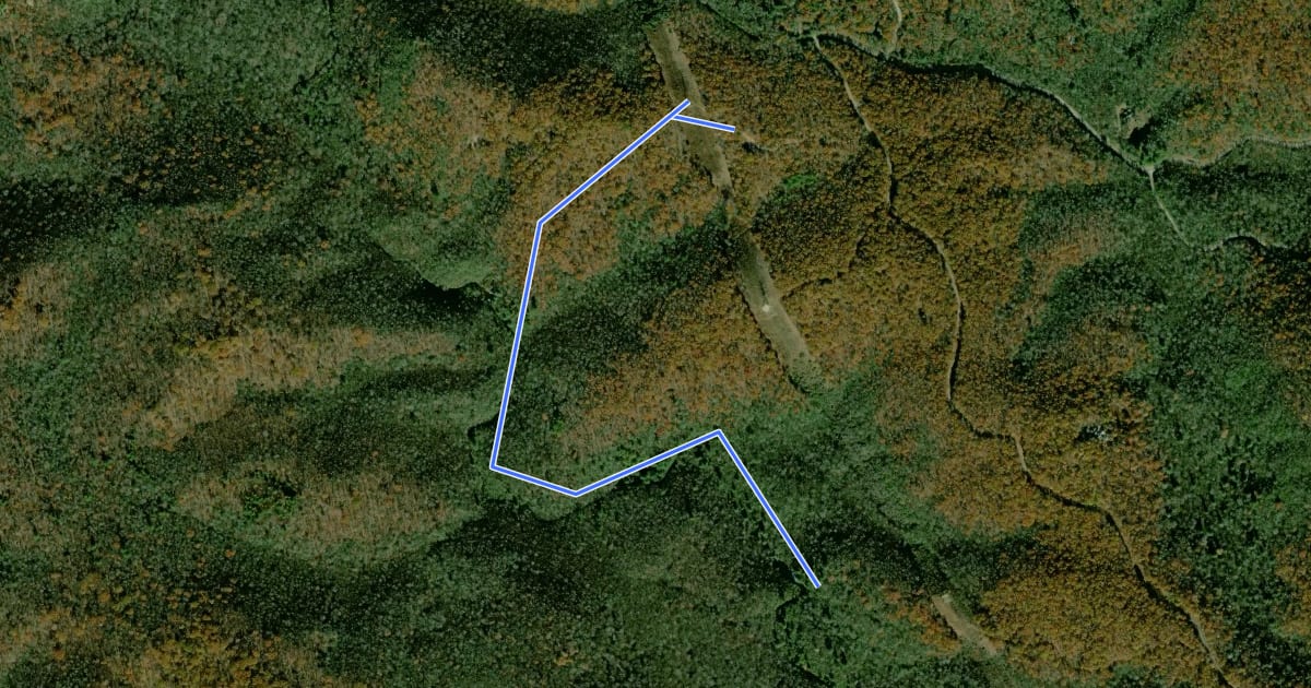 Маршрут Greenland Creek Trail на спутниковом снимке