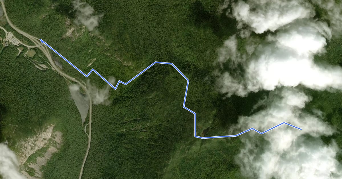 Маршрут Greenleaf Trail на спутниковом снимке