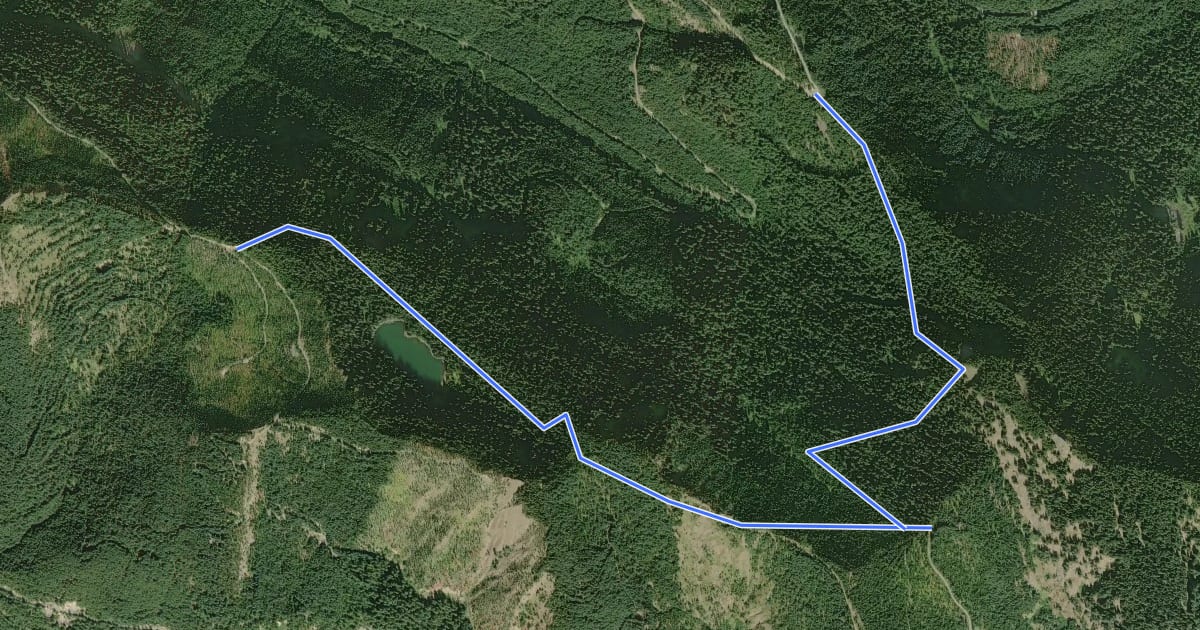 Маршрут Greenwood Lake Trail #253 на спутниковом снимке
