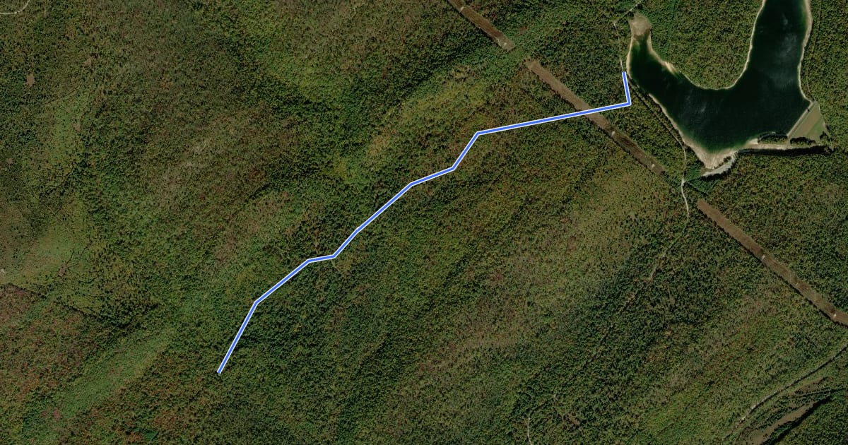 Маршрут Greenwood Road Trail на спутниковом снимке