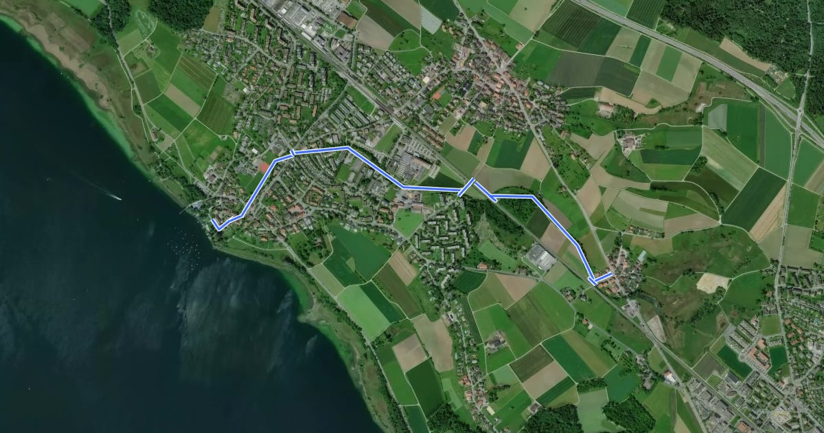 Маршрут Greifensee - Werrikon на спутниковом снимке