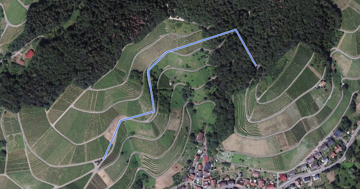 Маршрут Grenisberg Buckel - Winzerpavillon на спутниковом снимке