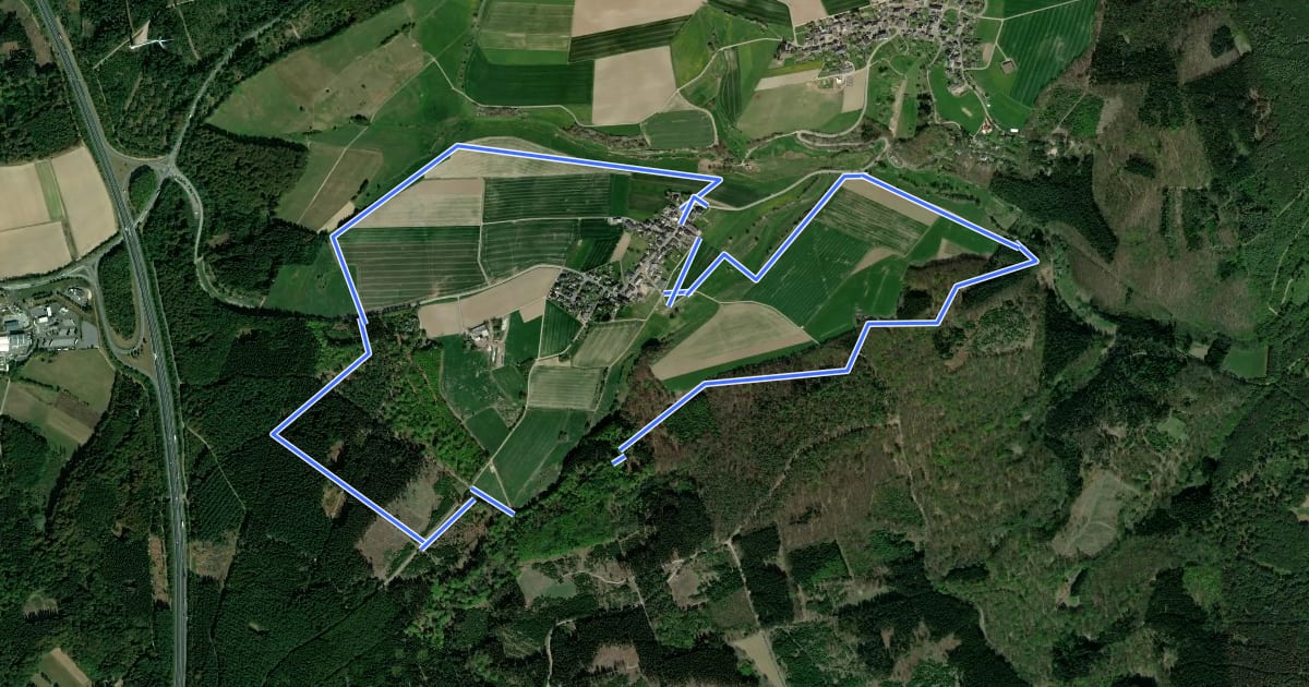 Маршрут Grenzgängerweg Birkheim на спутниковом снимке