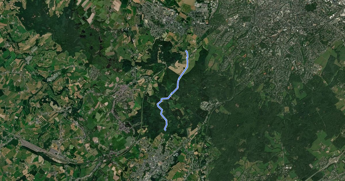 Маршрут GrenzRouten: Geusenweg на спутниковом снимке