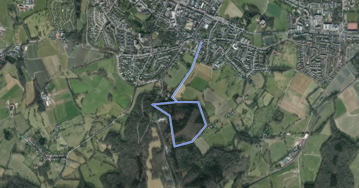 Маршрут GrenzRouten: Naturerlebnispfad 2,4 km (Grün) на спутниковом снимке