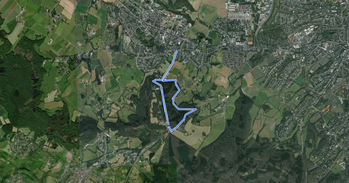 Маршрут GrenzRouten: Naturerlebnispfad 4,4 km (Blau) на спутниковом снимке