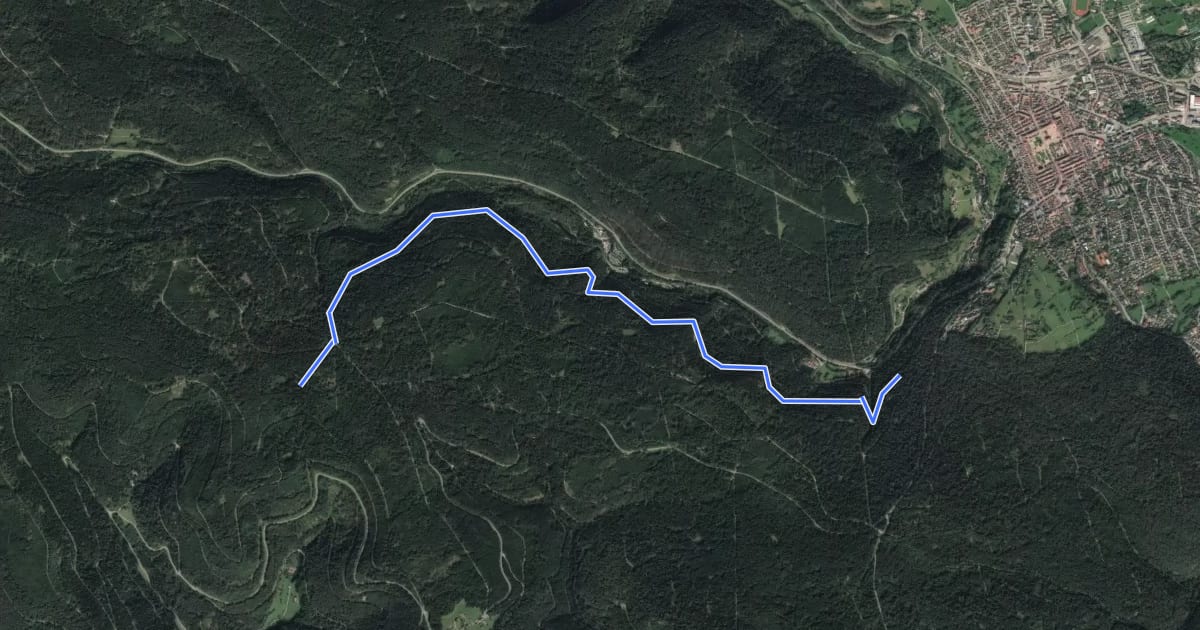 Маршрут Grenzweg - Mittelweg на спутниковом снимке