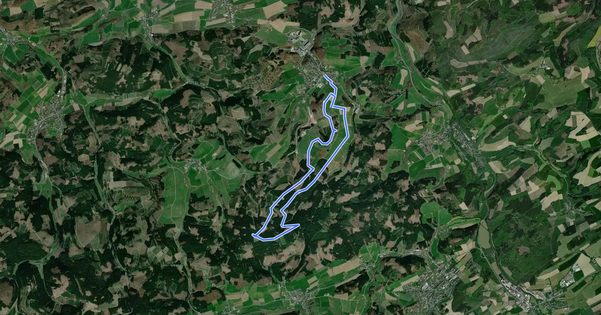 Маршрут Grevenstein Rundweg G3 на спутниковом снимке