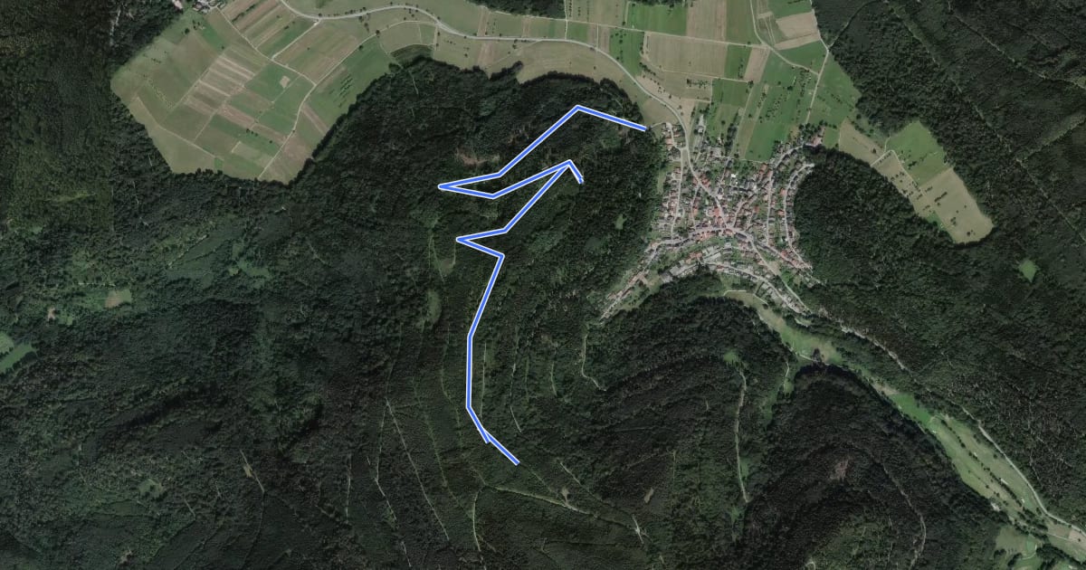 Маршрут Grillplatz Tannschach - Unterm Mauzenstein на спутниковом снимке