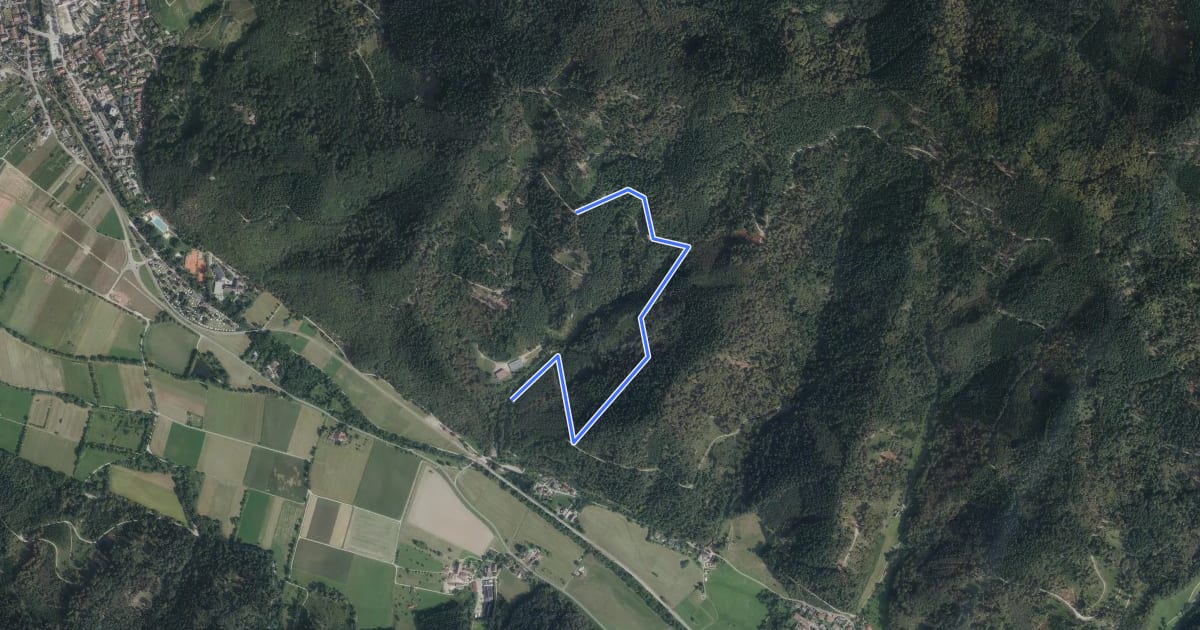 Маршрут Grillplatz Wölfental - Kletterwald на спутниковом снимке