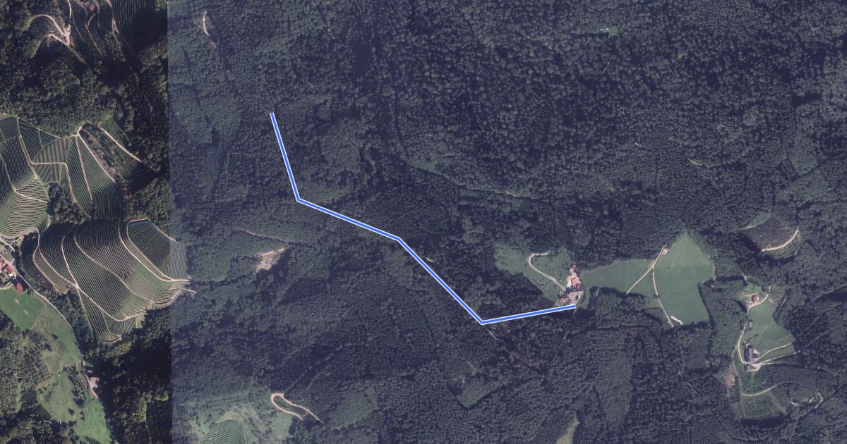Маршрут Grimmersbacher Eck - Oberer Sendelbach на спутниковом снимке
