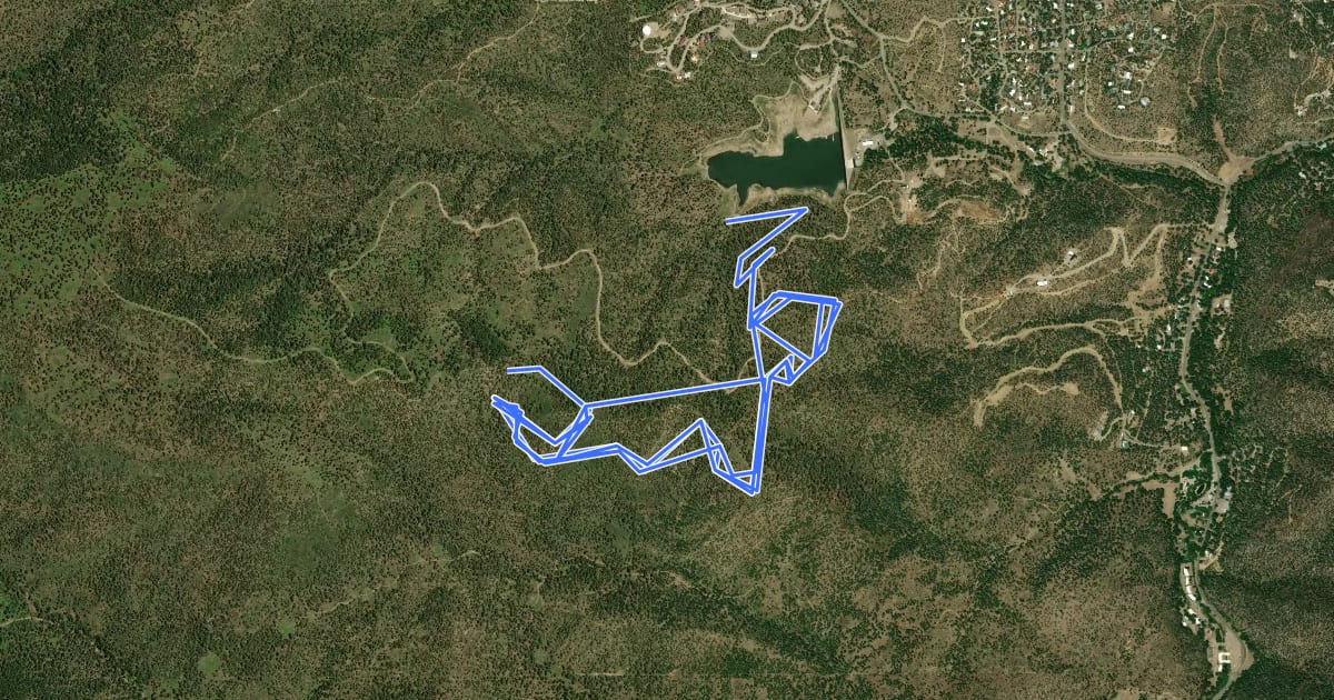 Маршрут Grindstone Ridge Trail на спутниковом снимке