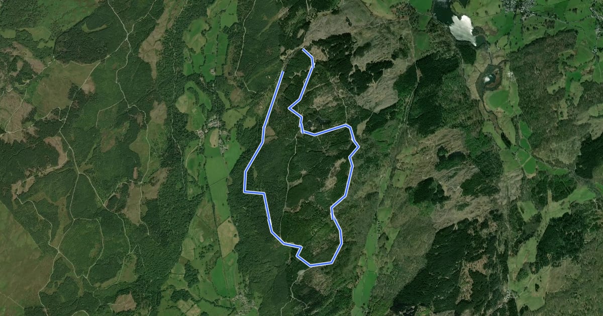 Маршрут Grizedale Tarn Trail на спутниковом снимке
