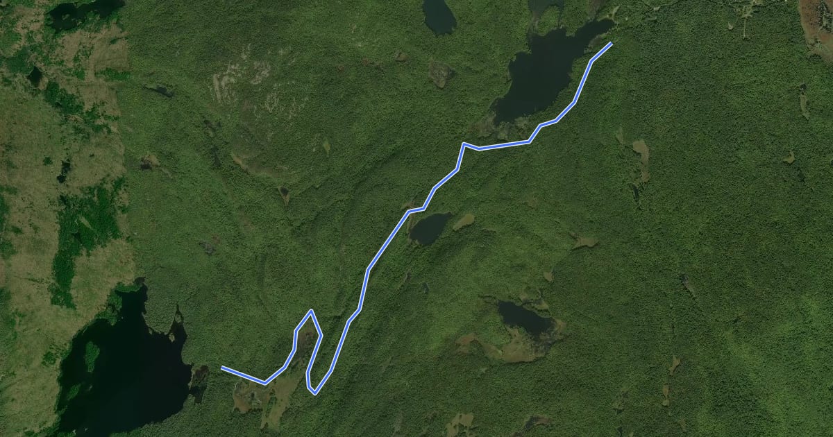 Маршрут Grizzle Ocean Trail на спутниковом снимке