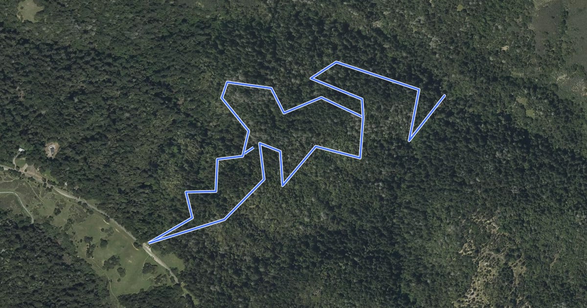 Маршрут Grizzly Flat Trail на спутниковом снимке