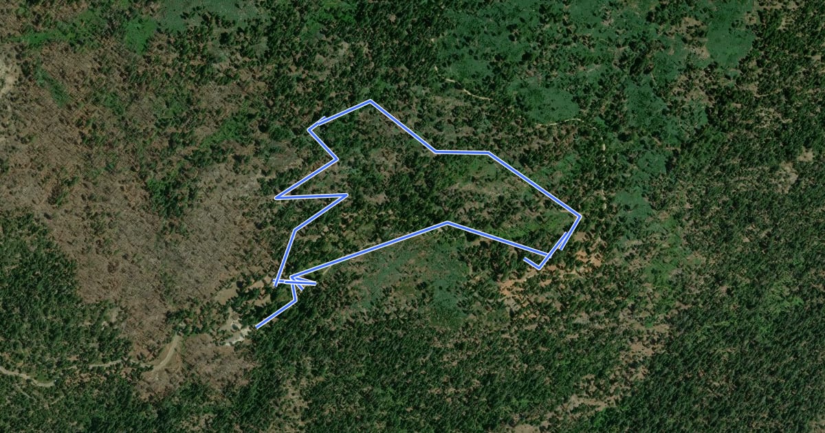Маршрут Grizzly Giant Loop Trail на спутниковом снимке