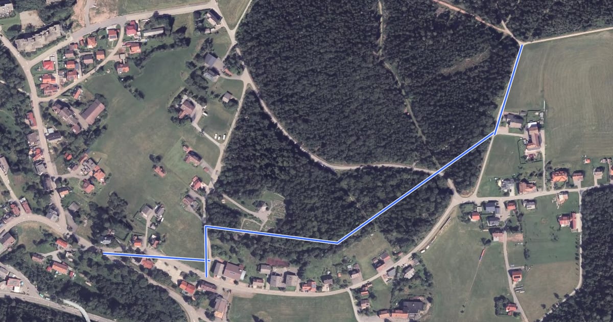 Маршрут Große Wiese - Kniebis Dorf на спутниковом снимке