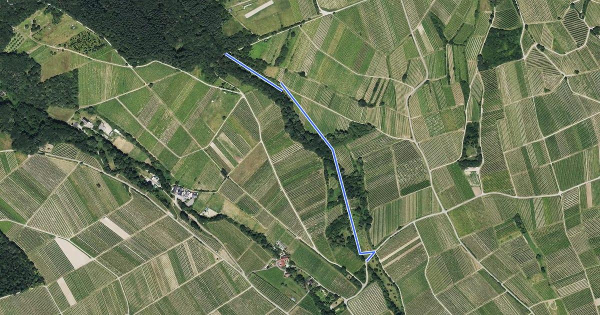 Маршрут Großer Flöten-Rundweg на спутниковом снимке
