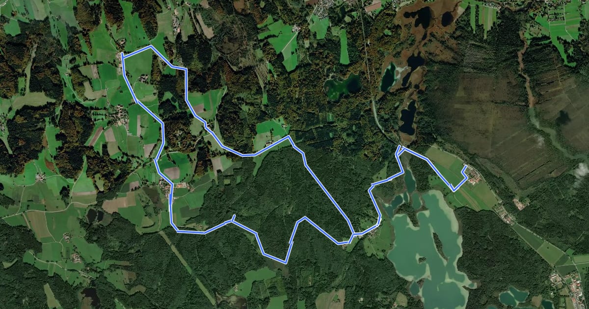 Маршрут Großer Lauterbacher Waldweg 21 на спутниковом снимке