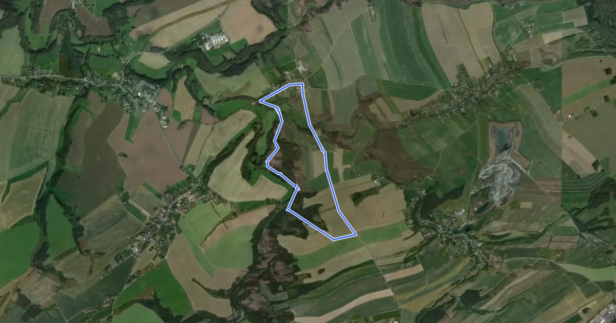 Маршрут Großer Lichtenstein-Rundwanderweg на спутниковом снимке