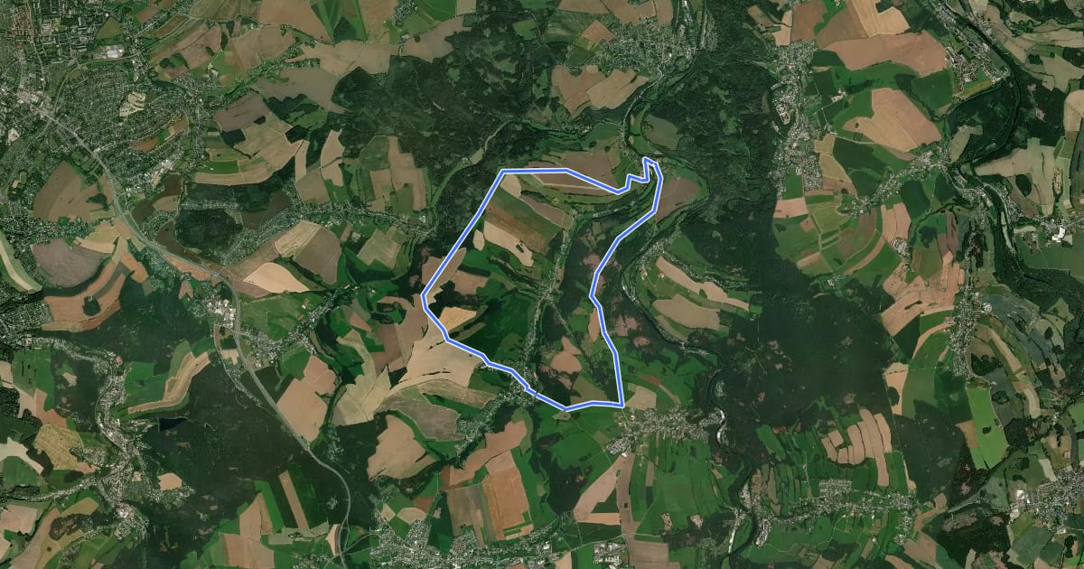 Маршрут Großer Rundwanderweg Dittmannsdorf на спутниковом снимке