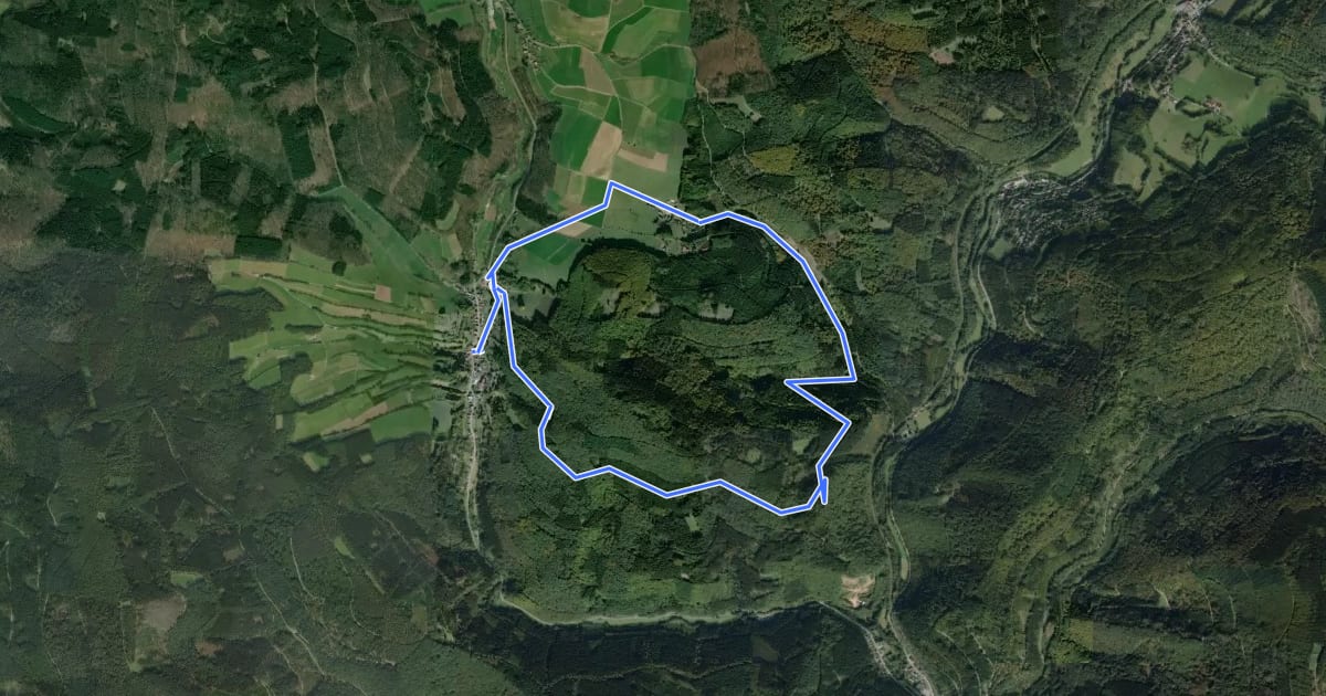 Маршрут Großer Sensberg Rundweg на спутниковом снимке