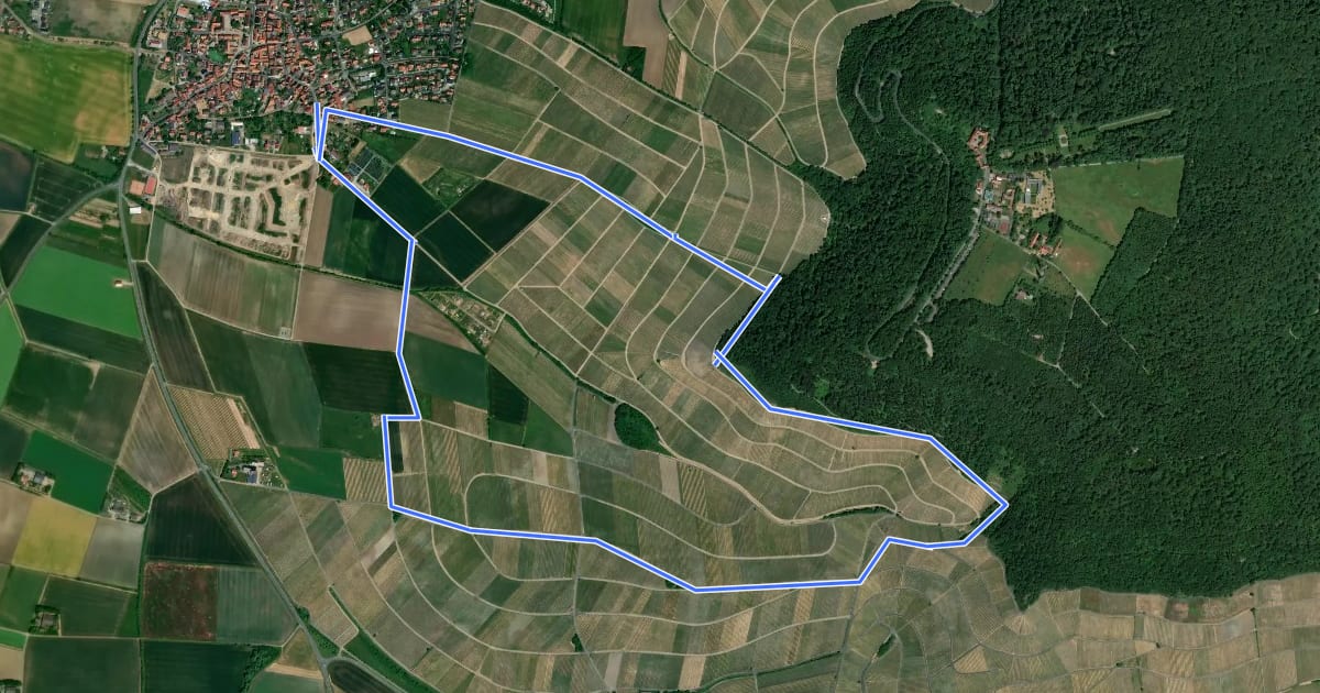 Маршрут Großer Spazierweg на спутниковом снимке
