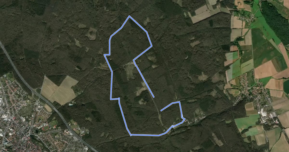 Маршрут Großer Waldrundweg на спутниковом снимке