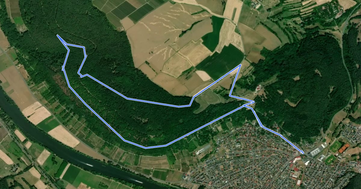 Маршрут Großheubach Rundwanderweg 9 на спутниковом снимке