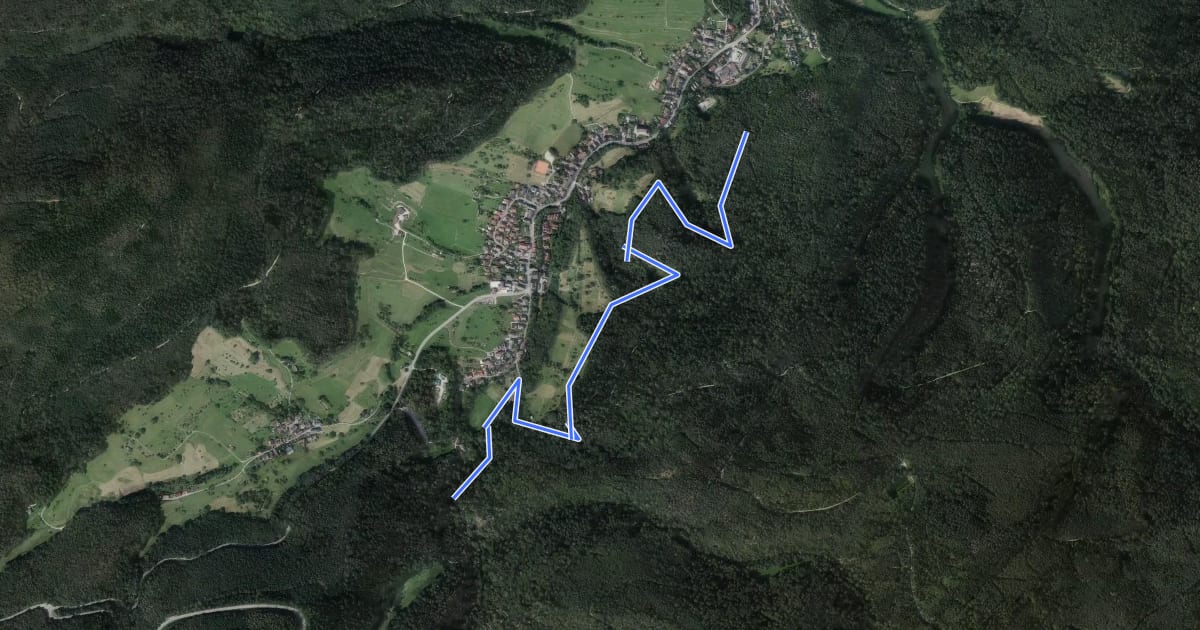 Маршрут Grobbach Brücke - Schatzbühl на спутниковом снимке