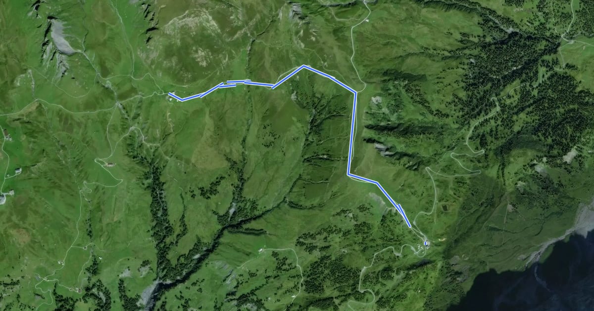 Маршрут Grosse Scheidegg - Schreckfeld на спутниковом снимке