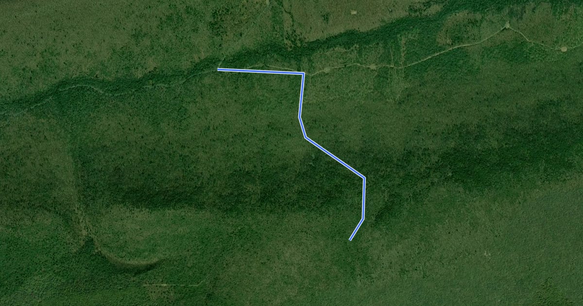 Маршрут Grosses Gap Trail на спутниковом снимке
