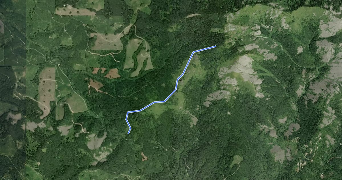 Маршрут Grouse Vista Trail на спутниковом снимке