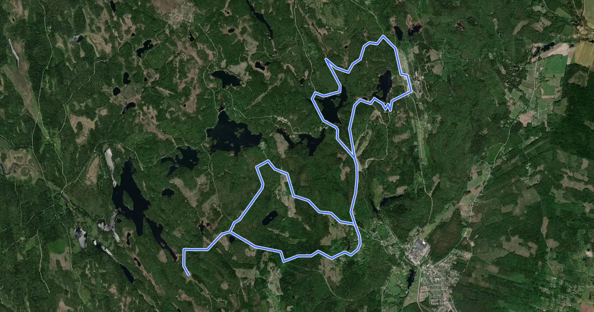 Маршрут Grusrally - MTB 8 на спутниковом снимке