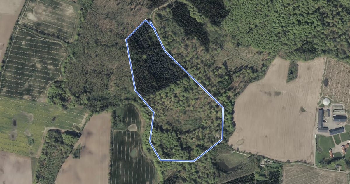 Маршрут Gul rute i Fovslet skov на спутниковом снимке