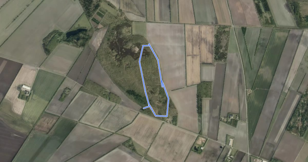 Маршрут Gul Rute, Linnebjerg Bakke на спутниковом снимке