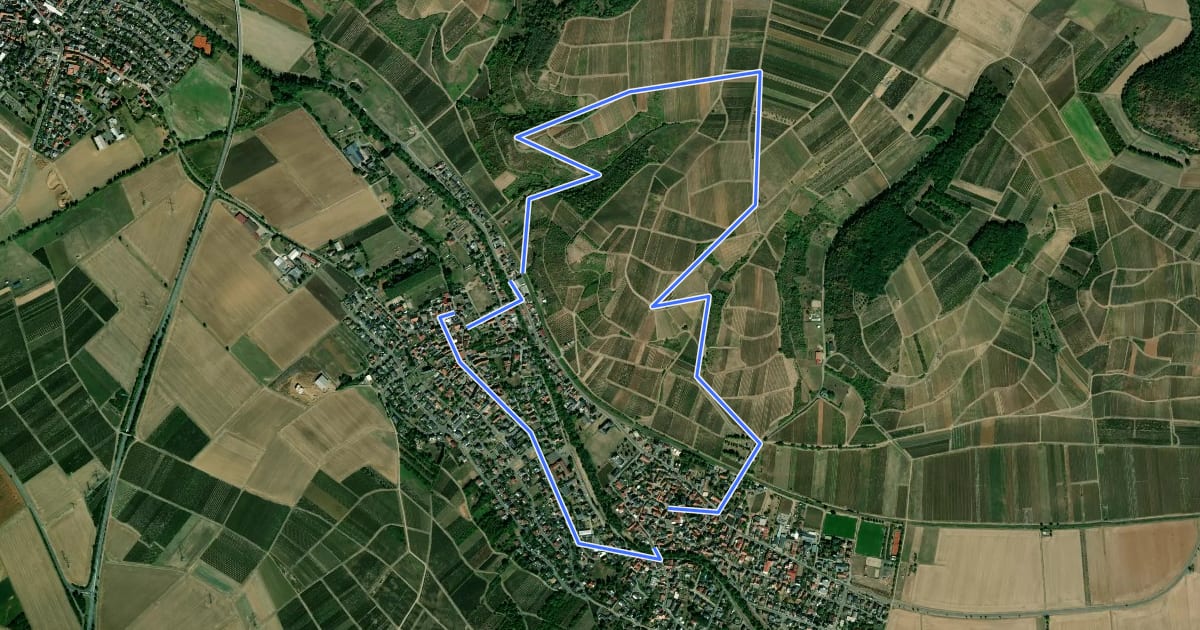 Маршрут Guldentaler Weinwanderweg на спутниковом снимке