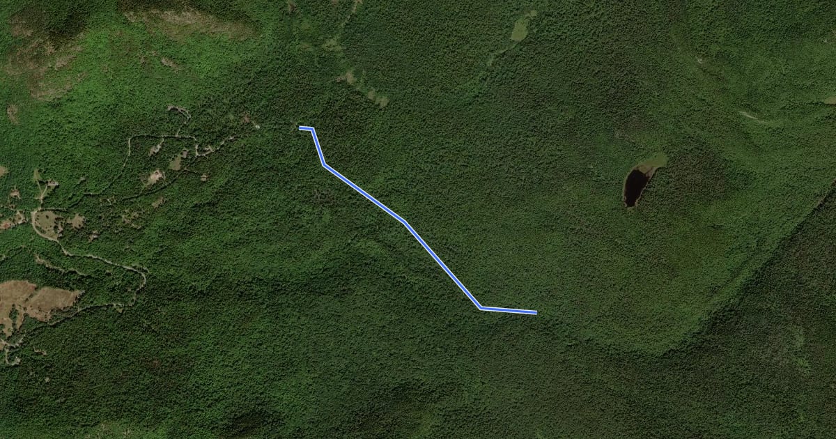 Маршрут Gulf Brook Trail на спутниковом снимке