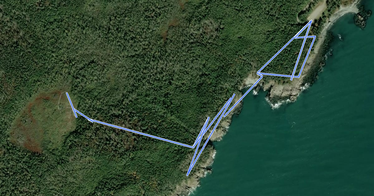Маршрут Gulliver's Hole-Artic Bog Trail на спутниковом снимке