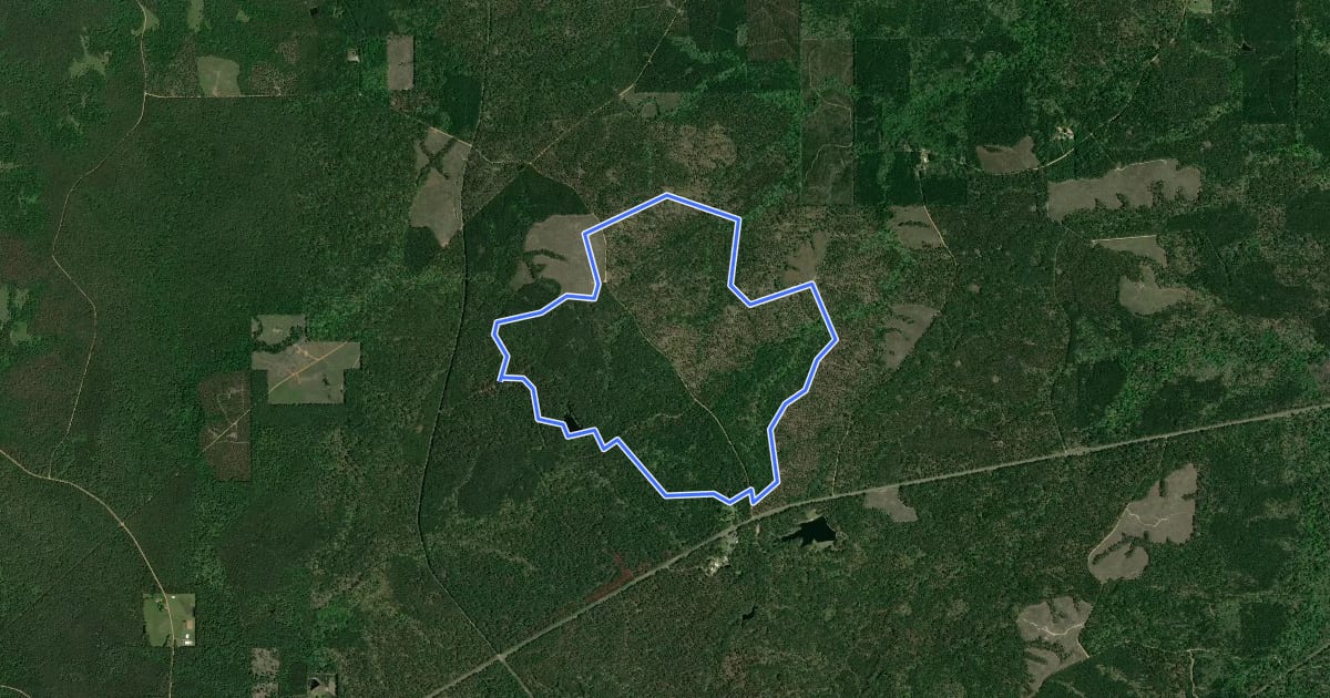 Маршрут Gum Springs Horse Trail, Blue Loop на спутниковом снимке