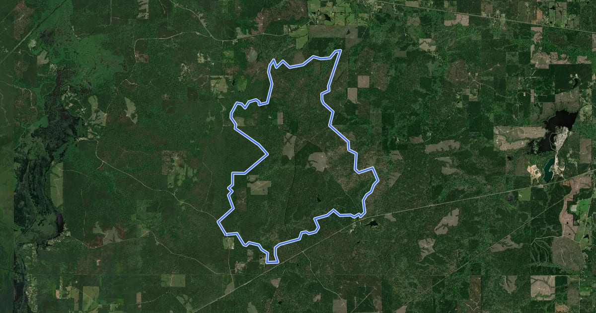 Маршрут Gum Springs Horse Trail, Yellow Loop на спутниковом снимке