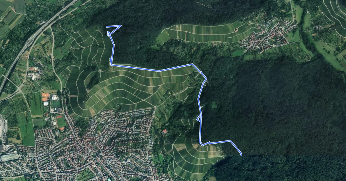 Маршрут Gundelbach Beinsteiner Wald - Hörnleskopf - Hanweiler Sattel - Korber Kopf на спутниковом снимке