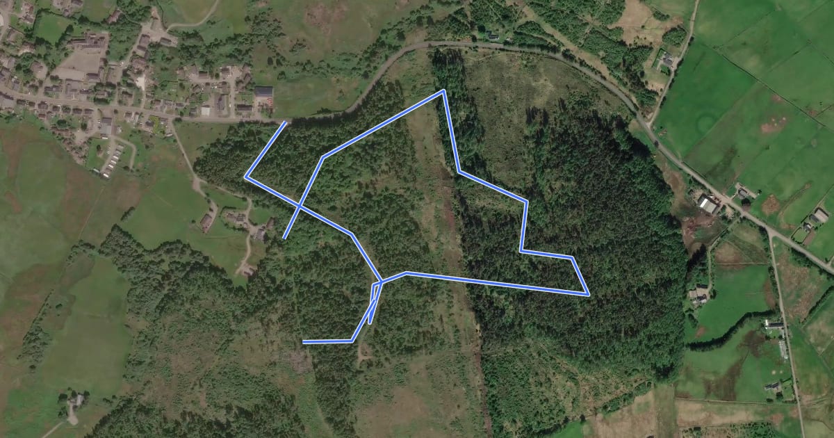 Маршрут Gunns Wood Core Path на спутниковом снимке