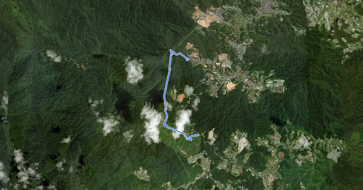 Маршрут Gunung Jasar - Cameron Valley Tea Trail на спутниковом снимке