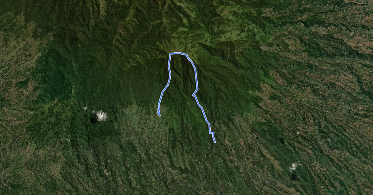 Маршрут Gunung Wilis на спутниковом снимке