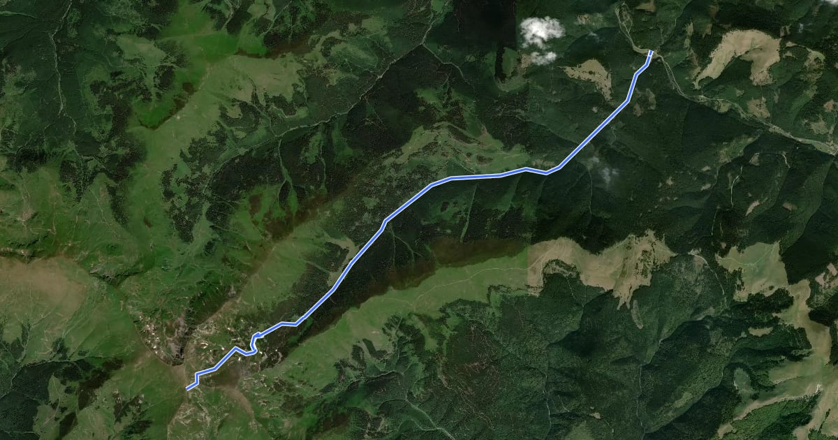 Маршрут Gura Lalei – Șaua Ineuțului – Șaua Cu Lac (blue dot) на спутниковом снимке