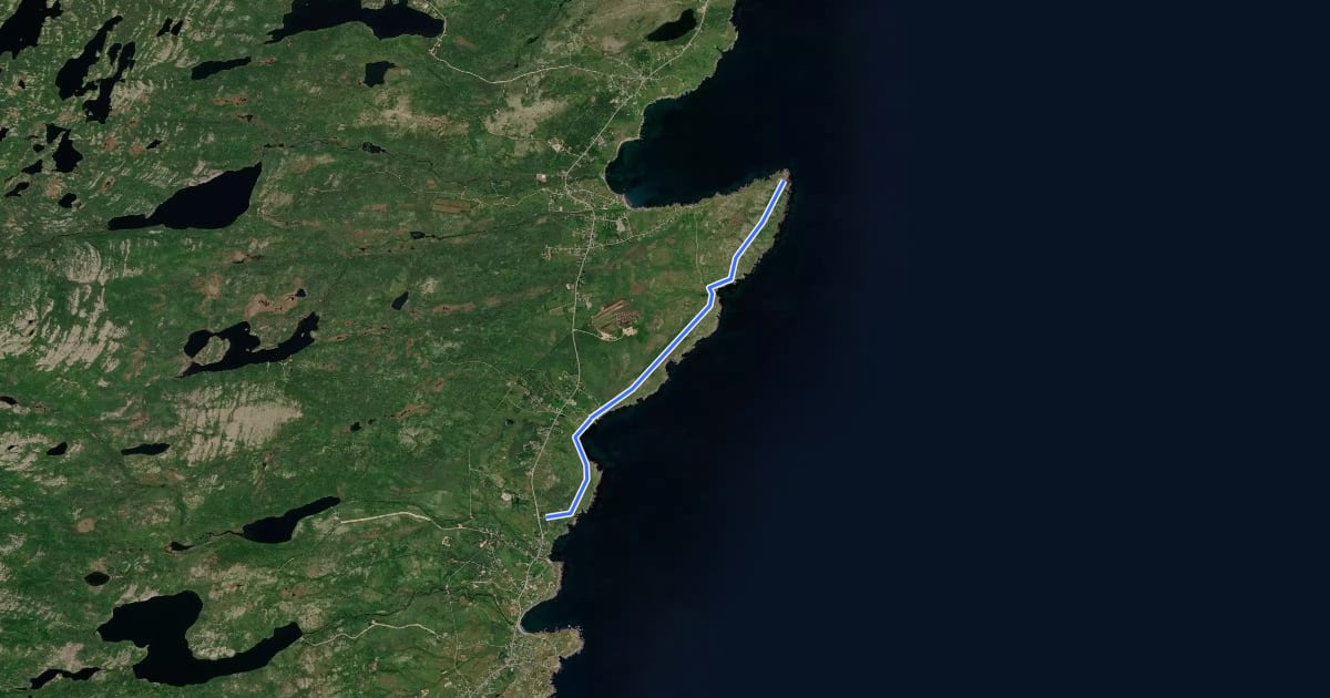 Маршрут Gussetts Cove to Western Bay Trail на спутниковом снимке