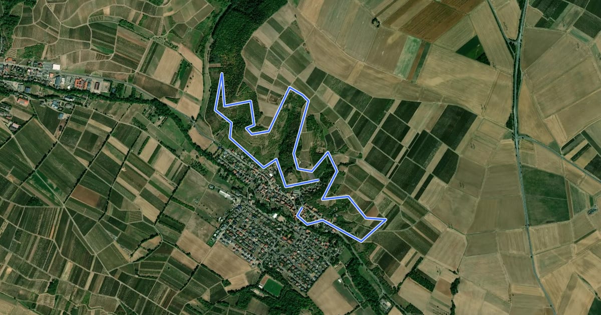 Маршрут Gutenbergweg на спутниковом снимке