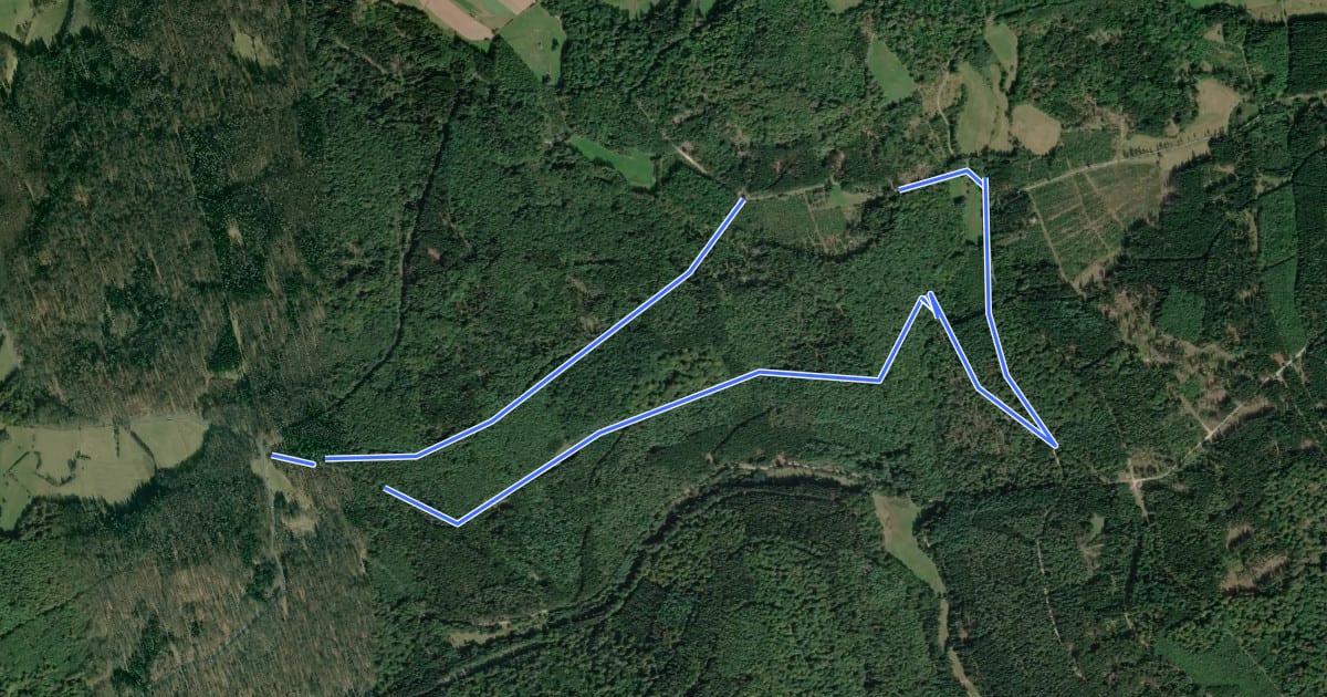 Маршрут Gutsbezirk Spessart (Bellingser Kreuz) - Rundwanderweg Ameise на спутниковом снимке