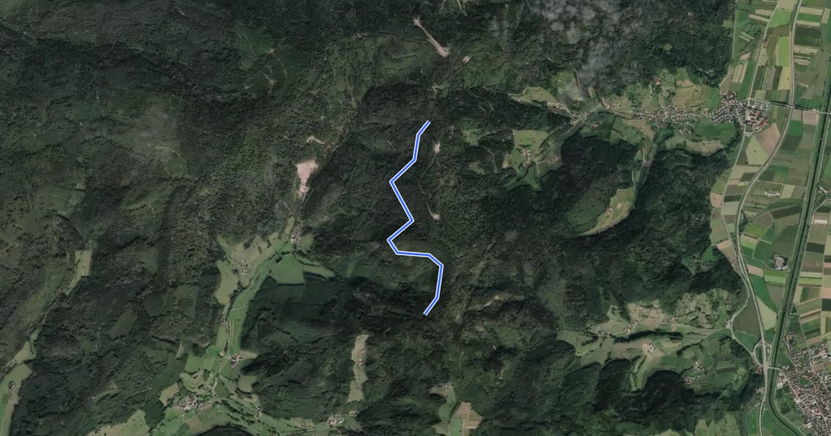 Маршрут Guttahütte am Rebmesserstein - Rauhkasten на спутниковом снимке
